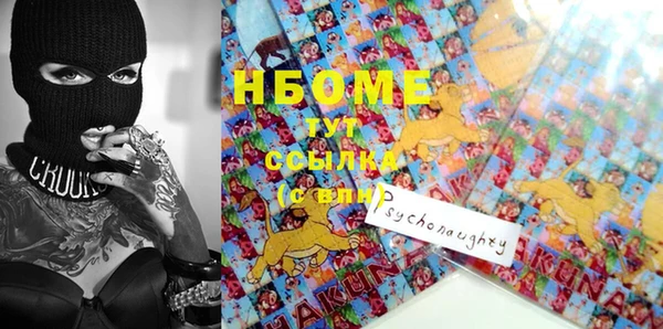 ГАЛЛЮЦИНОГЕННЫЕ ГРИБЫ Аркадак